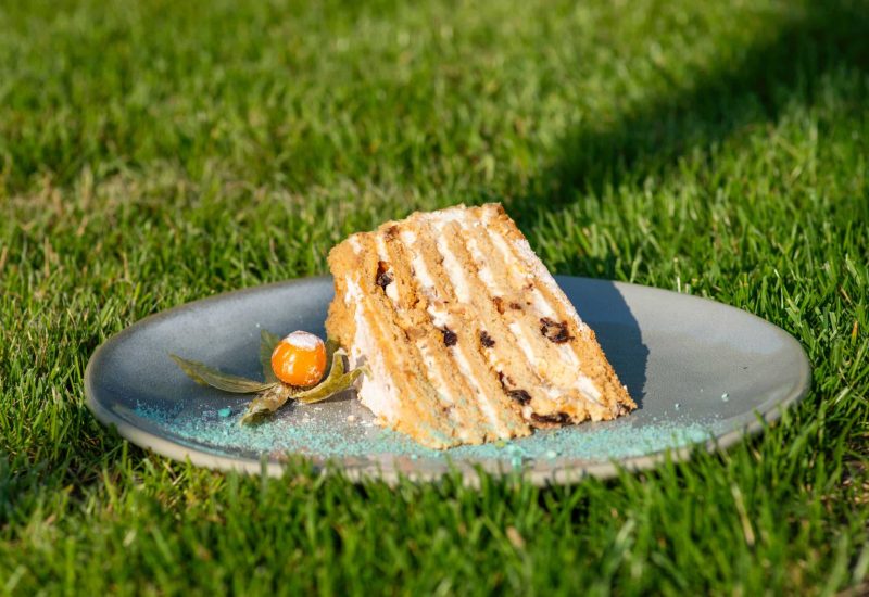 pexels-ruslan-khmelevsky-18552980